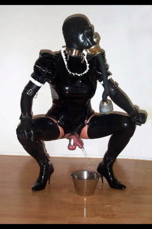 Access Denied, Rubber Maid In Training