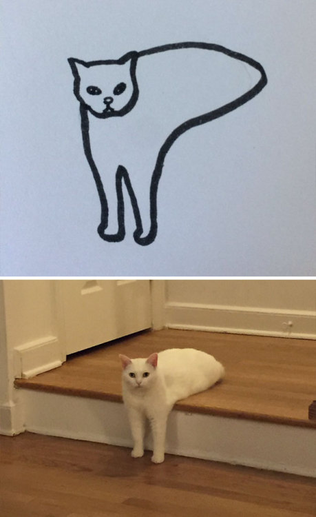 catsbeaversandducks:Super-realistic!By poorly drawn cats