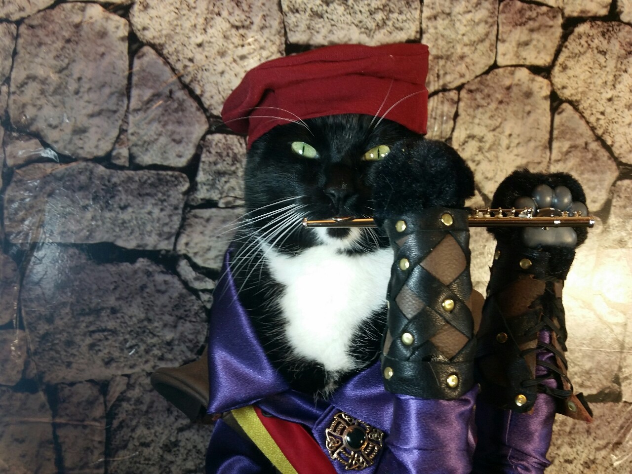 Nickie recommends best of Jessica alba boob scene the cosplay Happy cat