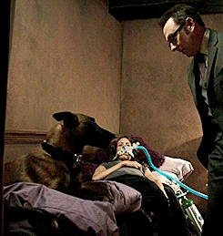 tumblr_o6xxhvwK5K1unsbsso3_250.gif