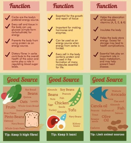 Fat Carb Protein Food Chart