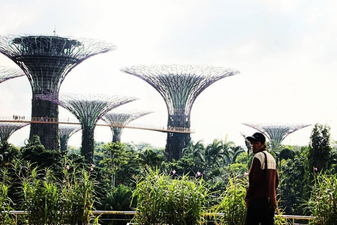 Gardens By The Bay. Taman buatan d Singapore.... - Ali ...