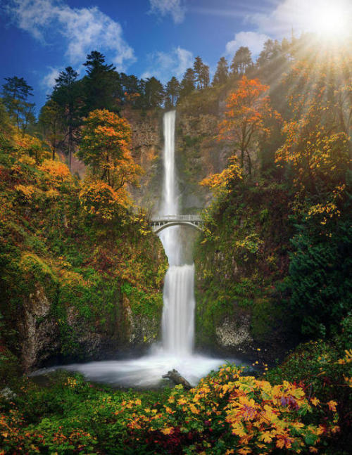 renamonkalou:Multnomah Falls In Autumn Colors 