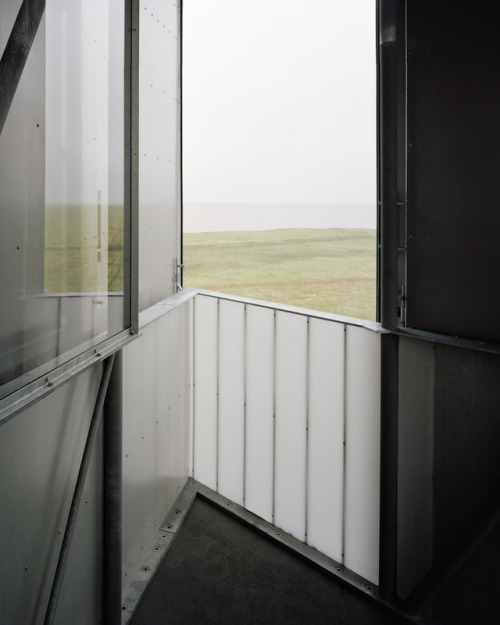 finn-wilkie:Johansen Skovsted, Tipperne Bird Sanctuary Viewing...