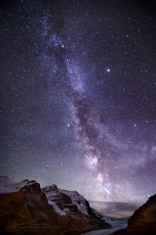 drxgonfly:celestial (by Jaclyn Tanemura)