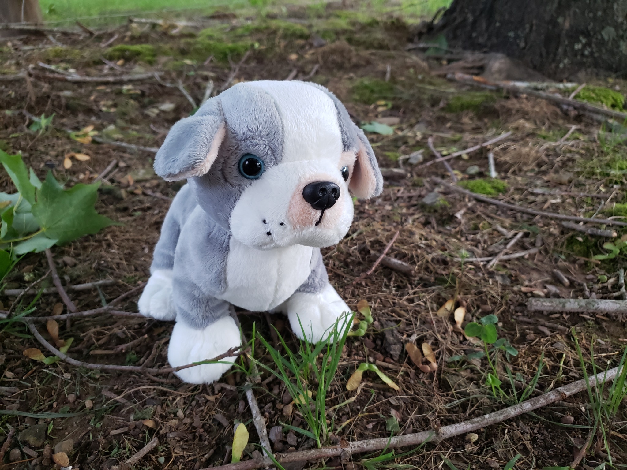 webkinz pitbull puppy