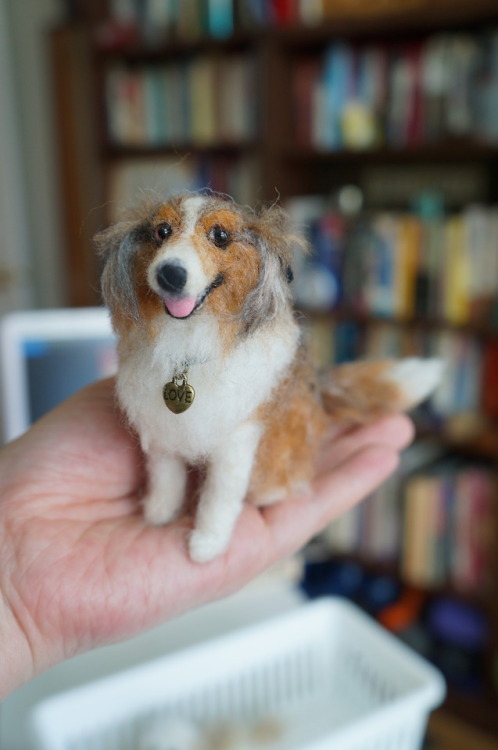 janetsneedlefelting:A needle fetled Aussie Sheltie mix with a...