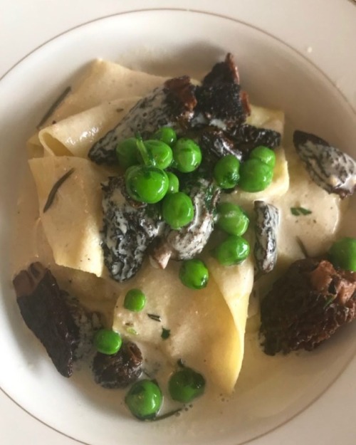 Our #homemade #tagliatelle with #morels | #englishpeas |...