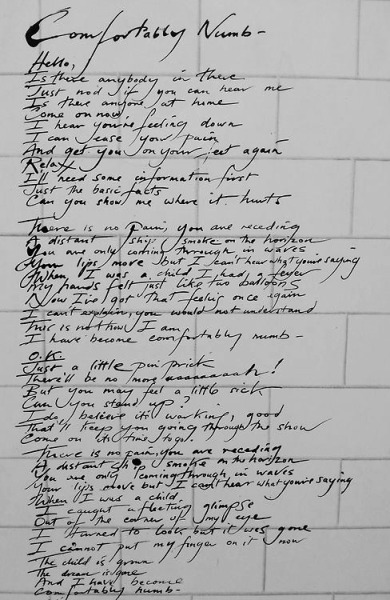 Comfortably Numb Tumblr