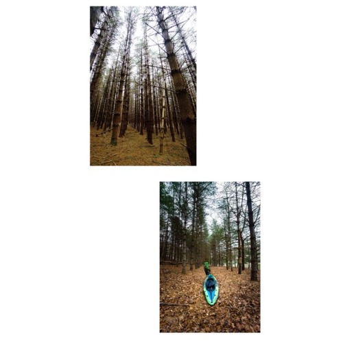blueridgeblues