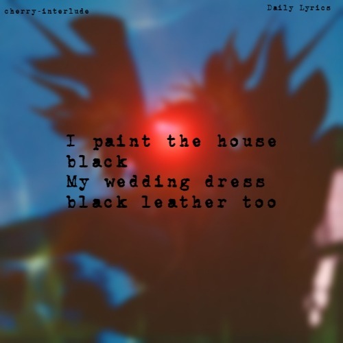 Stargirl Song Black Beauty Ultraviolence Deluxe