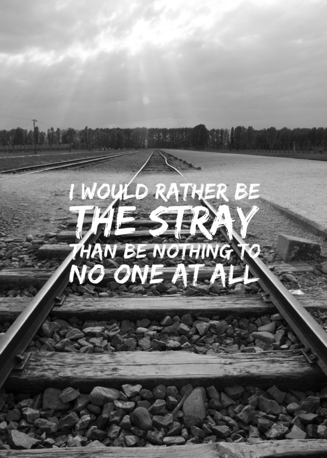 Lyrics Amor — The Strays - Sleeping With Sirens (requested)