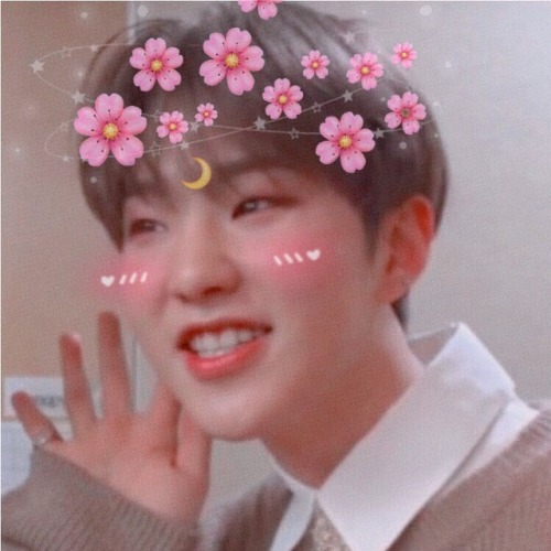 seungmies:꒰ ♡ ꒱༉ ━ hoshi • : * ✧ · ゚: ━ 