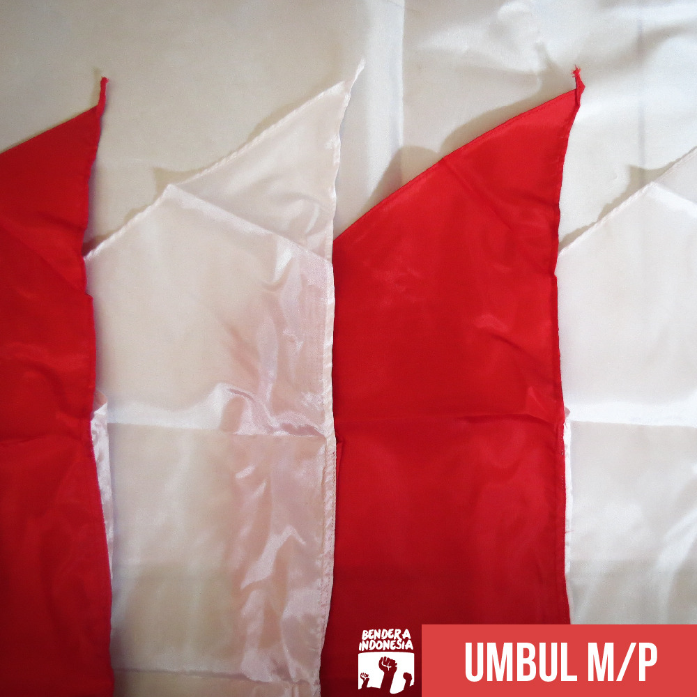 80+ Gambar Variasi Bendera Merah Putih Kekinian