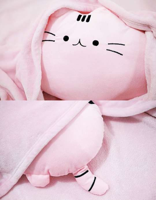 pusheen pillow