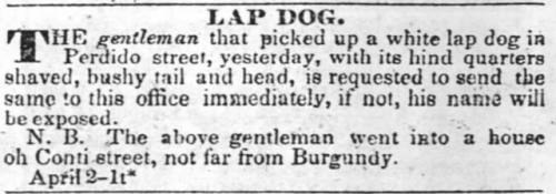 1830s georgian era history regency era newspapers historic vintage regency georgian 1837 stolen classifieds new orleans louisiana 1860s victorian era victorian 1868