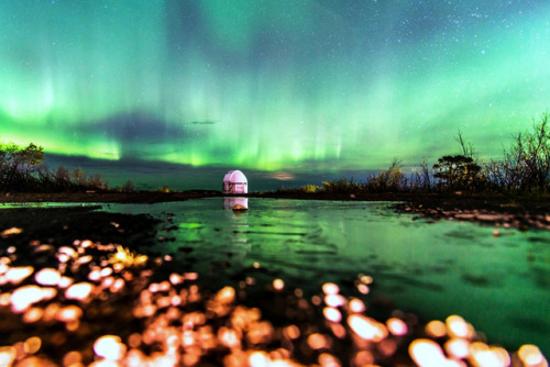 nasa-daily:Aurora: The Frog’s View via NASA...