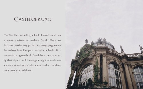 black-doe:WIZARDING SCHOOLS AROUND THE WORLD