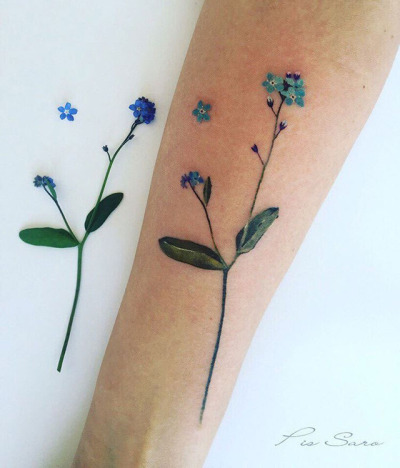 Forget Me Not Tattoo Tattoo Image Collection