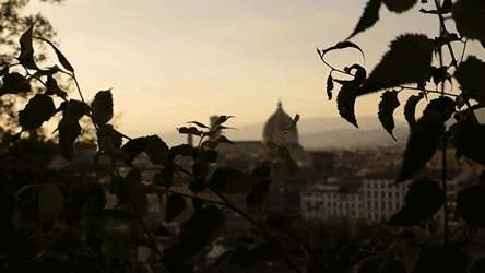 Sa professeur de latin organise un voyage en Italie. Her Latin teacher organises a trip in Italy.