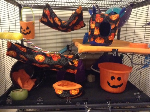 stinkyratties:stinkyratties:Halloween cage for the spooky...