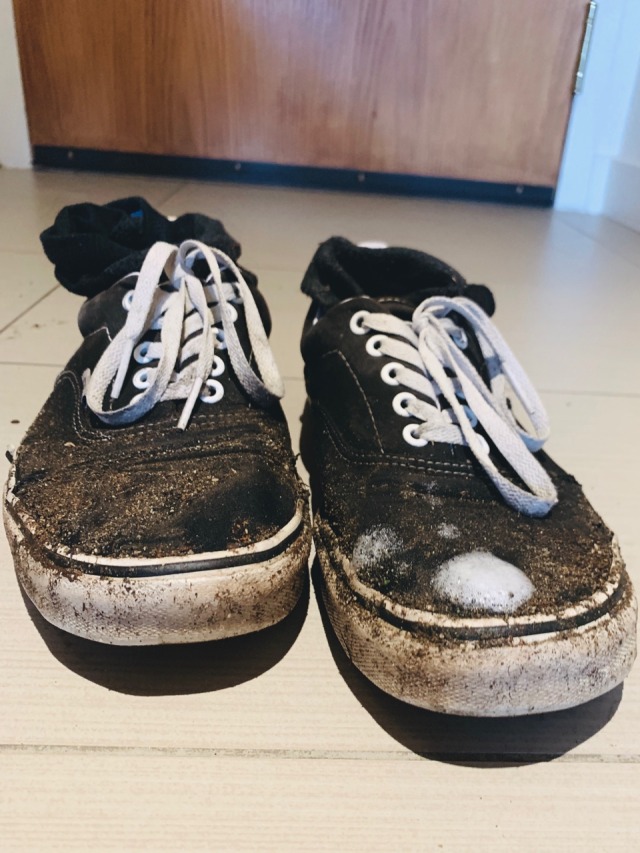 in and out vans shoes