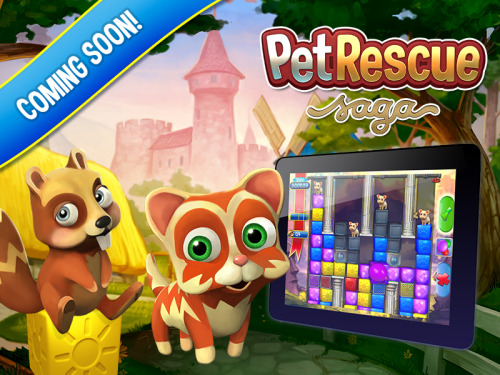 Pet rescue saga king