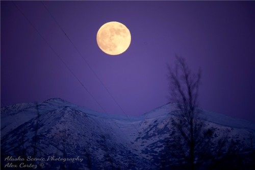 AccuFan Weather Photo of the Day: Super blood blue moon rising...