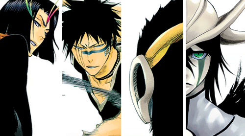 bushidocaps:Bleach Character Covers Vol. 1-40