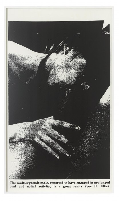 scan-lines:Lutz Bacher “Sex with Strangers”