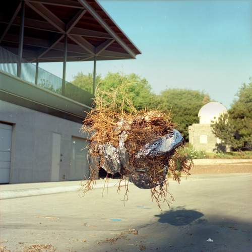 young shot contemporary photography emerging photographers magazine zine online blog submission