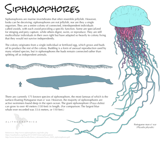 The ocean is where the aliens live. Transcript under the cut. Patreon | Instagram | Facebook | Twitter | deviantArt Keep...