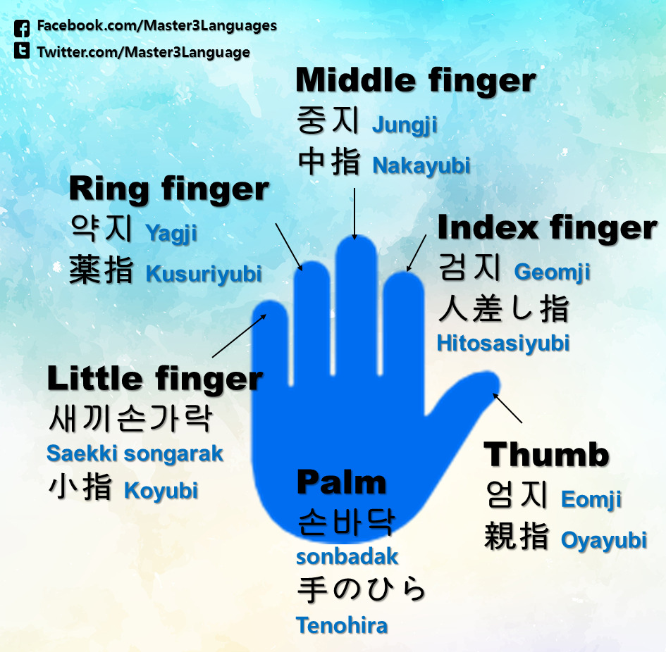 Korean As We Go — Names of Fingers in Korean & Japanese