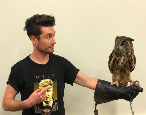 bastillearchive:bastilledan: The owls are not what they seem