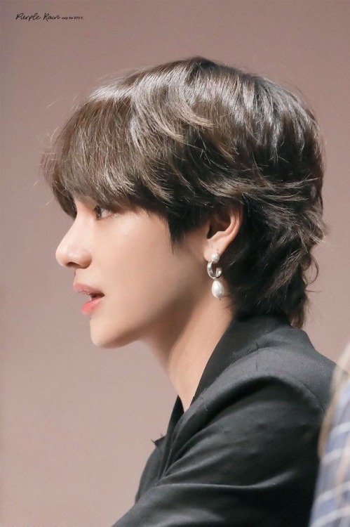  Tae  s mullet 
