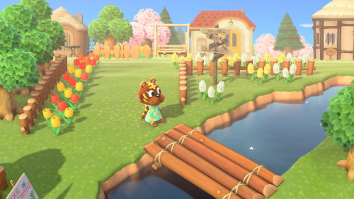 maple-treecrossing
