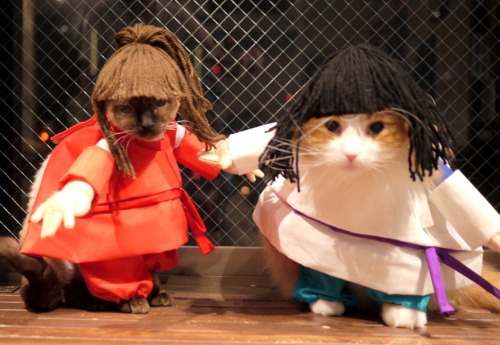 themidnightidiot:ghibli-collector:Halloween costume contest...