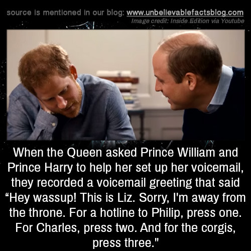 unbelievable-facts:When the Queen asked Prince William and...