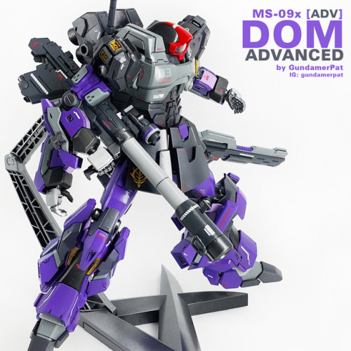 rx-79bluedestiny:Custom Build: MG 1/100 MS-09x [ADV] Dom...