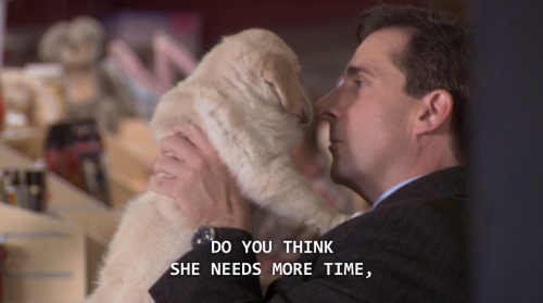 four-toed-creed:Michael goes to the pet store7x15 The Search