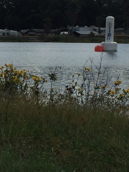 Hanging by the swoop pond