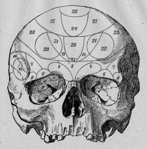 chaosophia218:Antique Lithographs of the Human Skull.