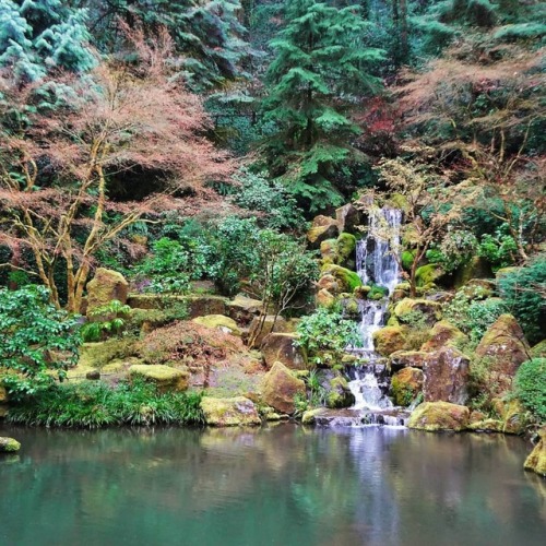 Japanese Garden, Portland OR