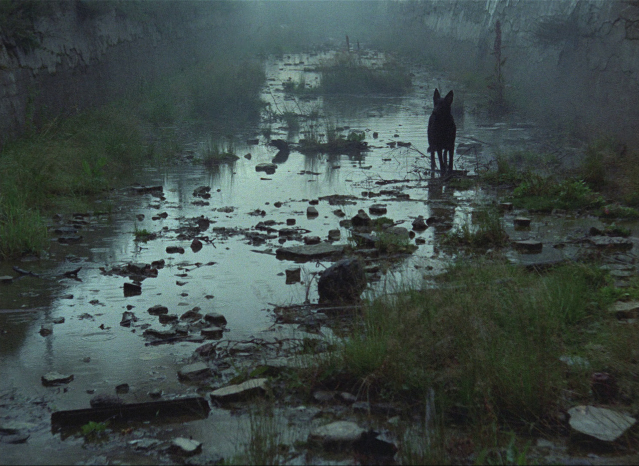 Alex Alleshater — Stalker 1979 By Andrei Tarkovsky