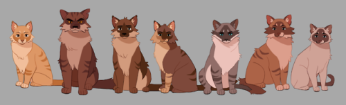 djkinski:Tigerstar and Co. 