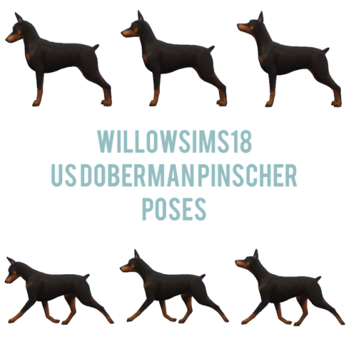 willowsims18