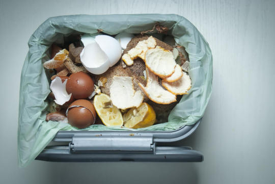Indoor Compost Bin Overhead Picture