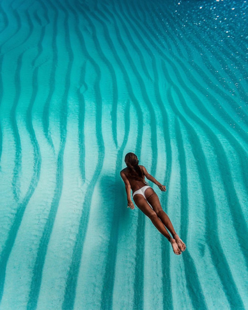 Underwater Photography On Tumblr