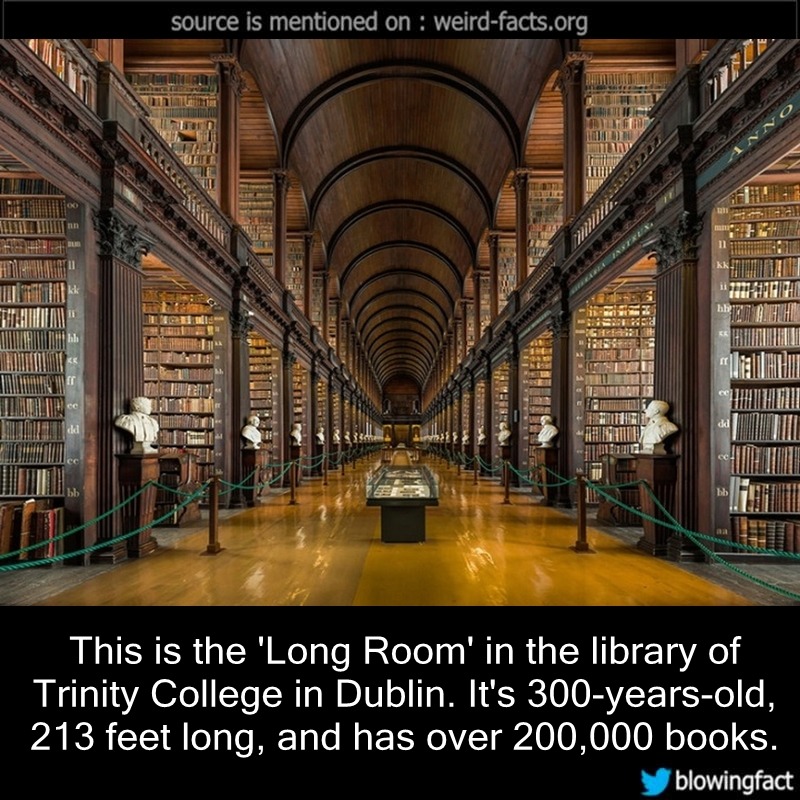 Weird Facts This Is The Long Room In The Library Of Trinity   Tumblr O654z16Pmp1szqwnwo1 1280 