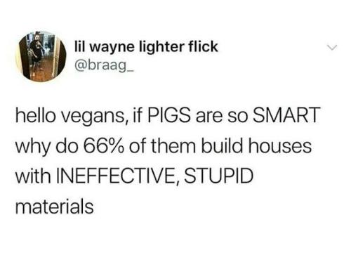 whitepeopletwitter:Hello vegans